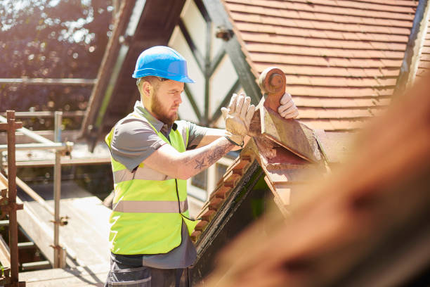 Best Storm Damage Roof Repair  in Perry, FL